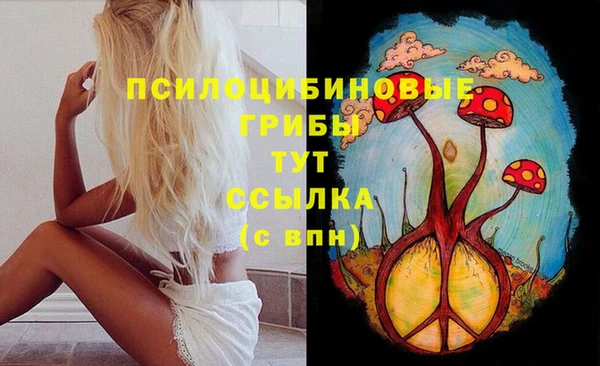 таблы Осташков