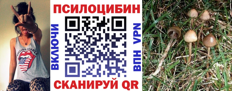 Галлюциногенные грибы ЛСД  Спасск 